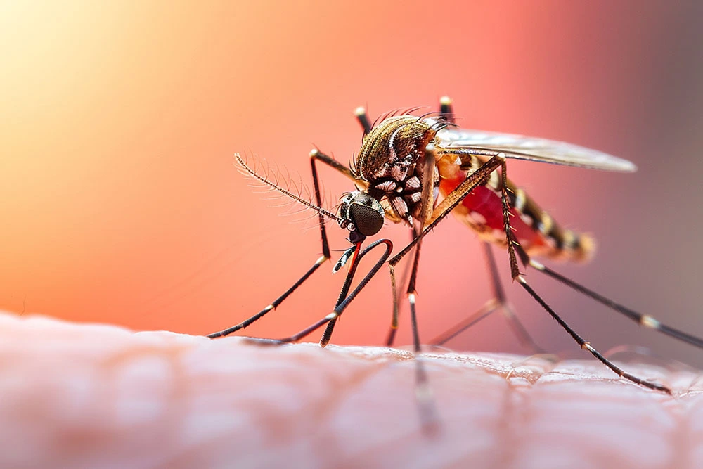 Como saber se tenho Dengue?